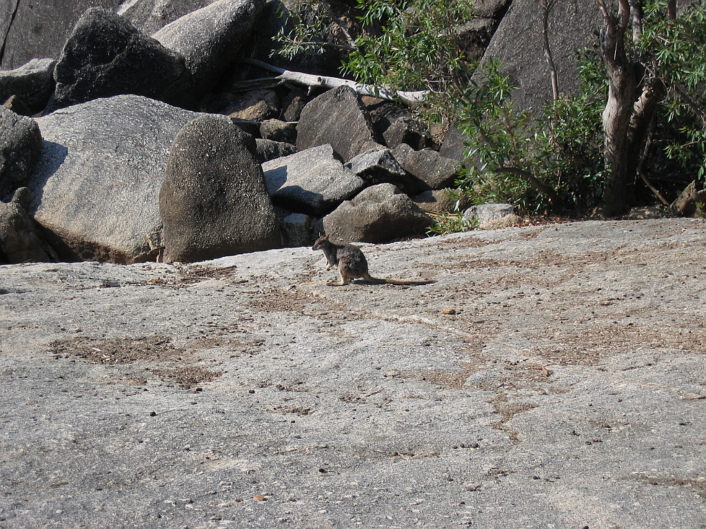 CairnsTC115 Granite Gorge.jpg